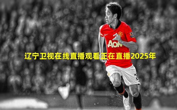 辽宁卫视在线直播观看正在直播2025年