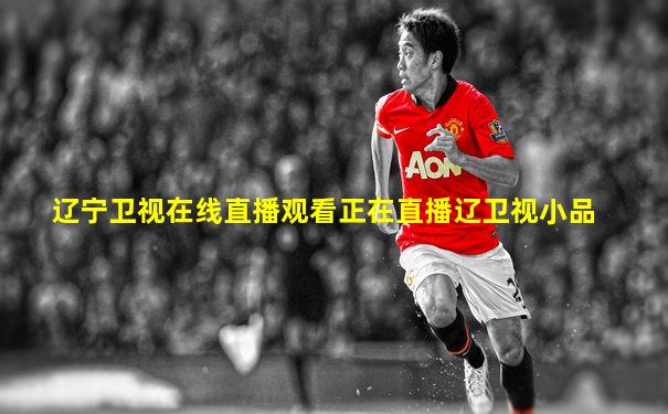 辽宁卫视在线直播观看正在直播辽卫视小品