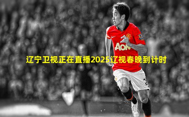 辽宁卫视正在直播2025辽视春晚到计时