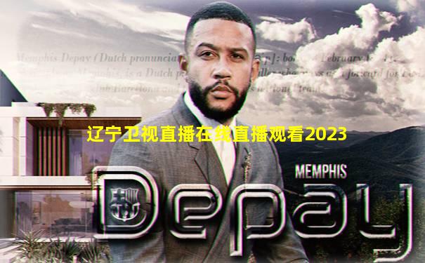 辽宁卫视直播在线直播观看2023