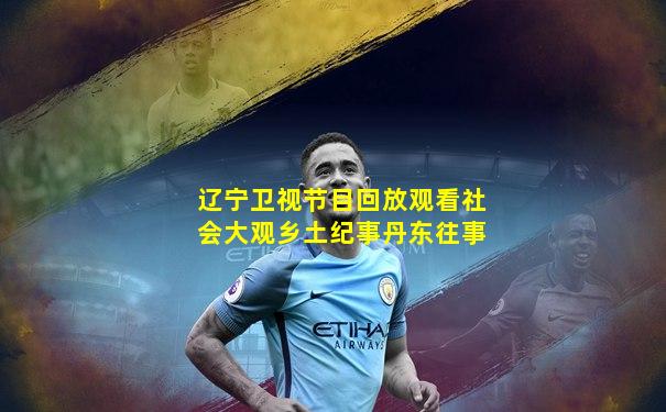 辽宁卫视节目回放观看社会大观乡土纪事丹东往事